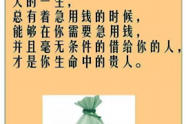 贵阳专业讨债公司，追讨消失的老赖